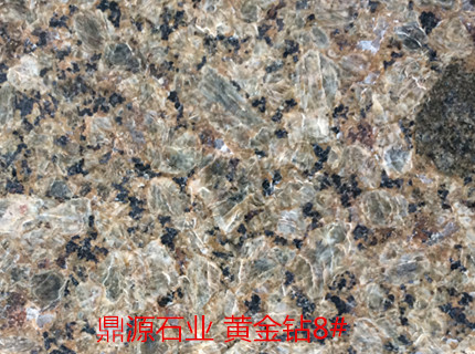 黄金钻8#